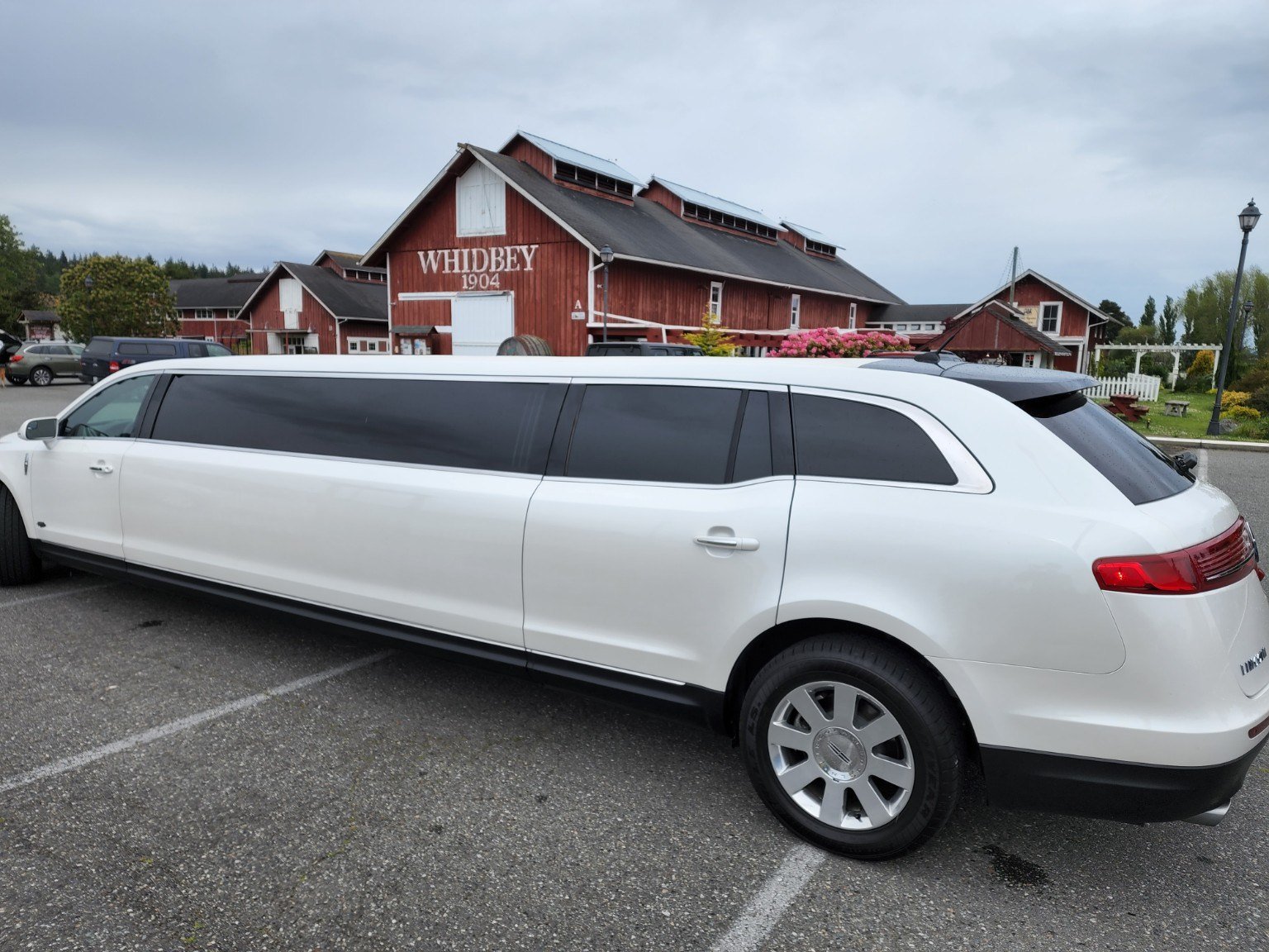 White stretch limousine at Greenbank Farm on Whidbey Island