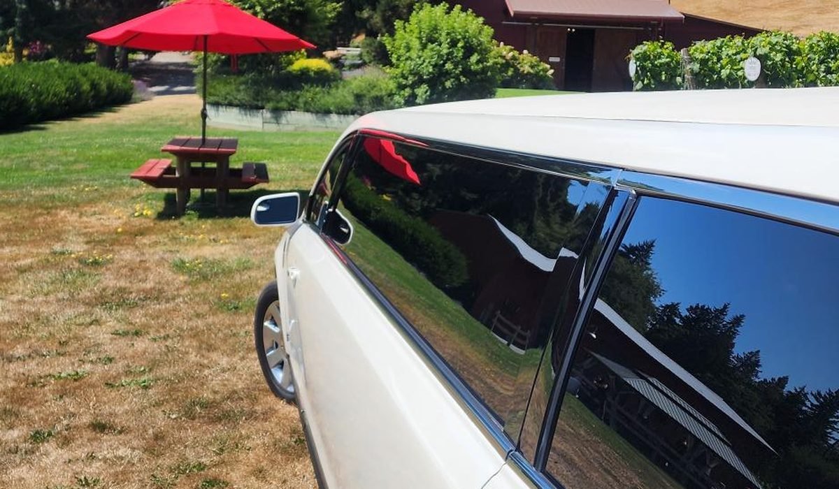 Whidbey Island Limo Service at a private event venue